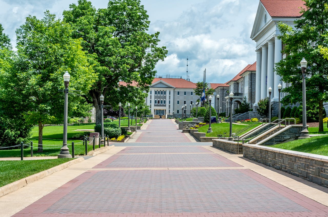 Campus pathway representing the respondent's position in Title IX